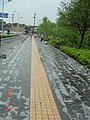 Re-XiXiaoRoad-2005.6.16