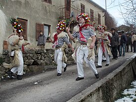 Звончары в Хорватии