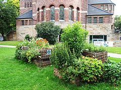 Holstenplatz, Urban Gardening bei der Christuskirche