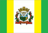 Flag of Curiúva