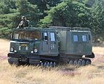 Bandvagn 206