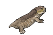 Brachyprosopus broomi