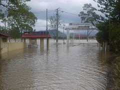 Flooding at local showgrounds, a low-lying area of Murwillumbah.