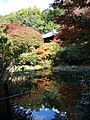 2005年11月21日 (月) 05:05時点における版のサムネイル