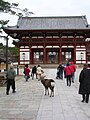 Il Tempio Todaiji a Nara, la prima capitale del Giappone - feb 2006