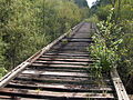 Old railroad trestle over the New River, future route of Palatka-Lake Butler State Trail as well as the Florida National Scenic Trail.