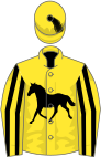 Yellow, black horse, yellow sleeves, black stripes, yellow cap,