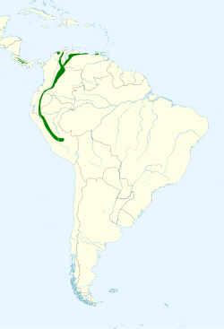 Distribución geográfica del anambé blanquinegro.