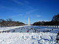 Ice covering the Lincoln Memorial Reflecting Pool after the February 5–6, 2010 North American blizzard