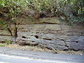 Sandstone in roadside cutting