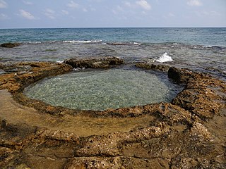 מתקן ימי עתיק בחוף תל שקמונה בחיפה, ששימש כנראה לתעשיית ייצור צבע הארגמן. ניתן לראות מעגל חצוב בסלע, המלא מי ים.