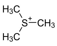 Strukturformel von Trimethylsulfonium-Ion