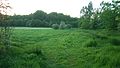 View across the meadows in May