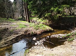 Река около деревни Марьино, ранее в этом месте был мост