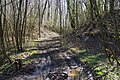 Path cutting the slag heap in two.