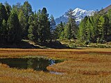 Bonigersee mit Weisshorn (Moosalp)