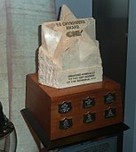 Ed Chynoweth Trophy