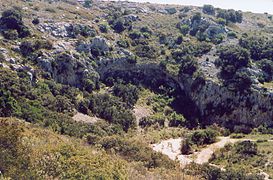 Garrigue dans l'Hérault.