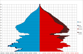 Population pyramid in 1950