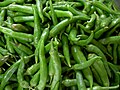 Harvested green chili peppers
