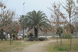 Riolobos – Veduta