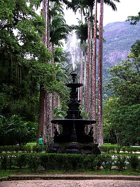 Image illustrative de l’article Jardin botanique de Rio de Janeiro