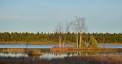 Lake Laanemaa in Tabara