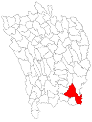 Location in Vaslui County