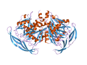 2dsb: Crystal structure of human ADP-ribose pyrophosphatase NUDT5