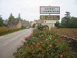 The road into Gevrey-Chambertin