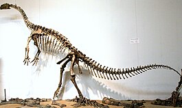 Платеозавр вида Plateosaurus engelhardti