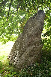 Menhir de Camarel