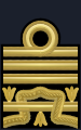 Shoulder insignia of a squadron admiral