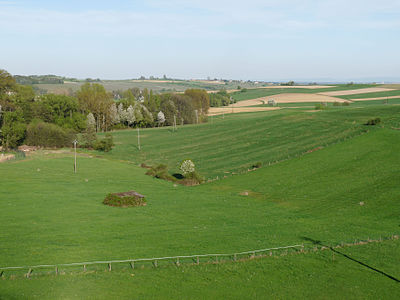 Prairies autour de Rott.