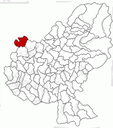 Location in Mureș County