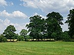 LSG Elsterniederung und westliche Oberlausitzer Heide zwischen Senftenberg und Ortrand