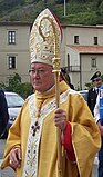 Italian Cardinal, Renato Martino