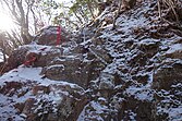 稲含山の岩場