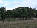 Mur d'enceinte du parc du château d'Aubiry détruit en mai 2022.