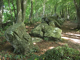 The gallery grave