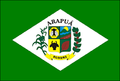 Bandeira de Arapuá