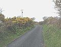 Paved backroad, Llanfairyneubwll, Isle of Anglesey, UK