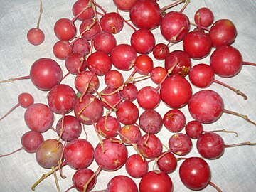 Ripe fruits