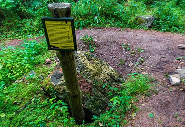 Panneau signalant l'habitat des chauves-souris en forêt, avec des instructions pour les préserver (2019).