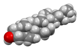 Space-filling model of cholesterol