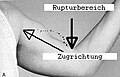 Vorschaubild der Version vom 08:53, 28. Mai 2010