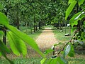 Rundweg „Baum und Natur“ neben dem Wasserwerk Holdorf