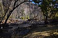 Flood damage below Long House, Bandelier National Monument