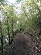 Chemin des bords de l'Ourthe à Tabreux.