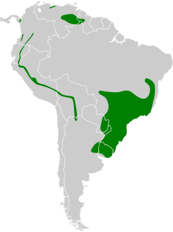 Distribución geográfica del riachuelero.